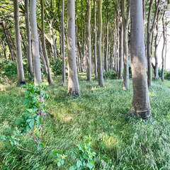 24-07-01 11-14-47 0053